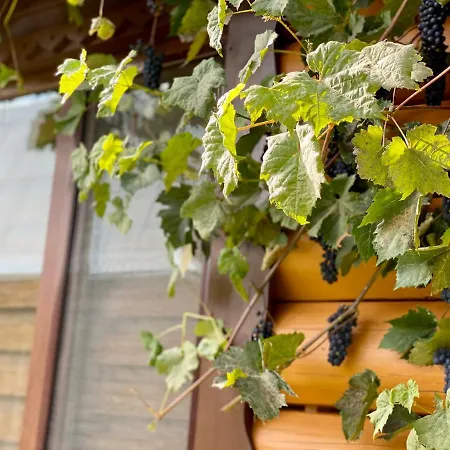 Linden Grove * Vygoda